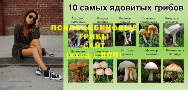 мет Новозыбков