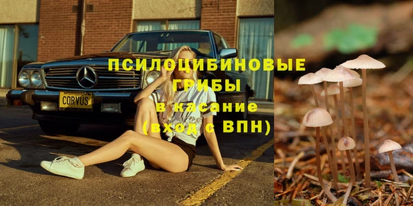 круглые Новодвинск