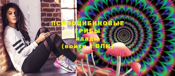 круглые Новодвинск