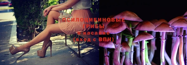 мет Новозыбков