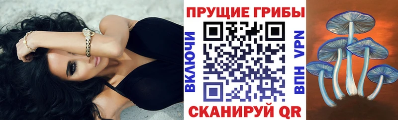 Купить где  Реж  Псилоцибиновые грибы GOLDEN TEACHER 