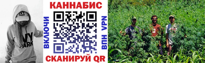 Купить закладки  Реж  Канабис White Widow 
